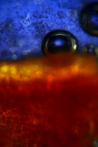 allismicro Microla