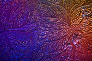 allismicro Microla