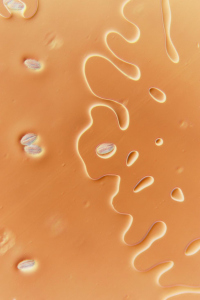 elder pollen